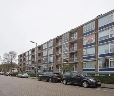 Vegelinsoord 3079 KJ Rotterdam - Foto 1
