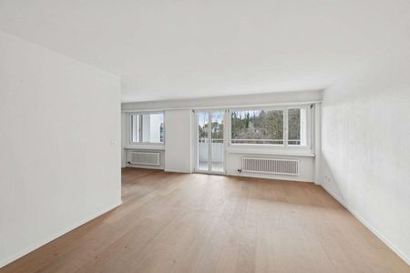 Lichtdurchflutete 4.5-Zimmer-Wohnung im beliebten Breitequartier - Foto 3