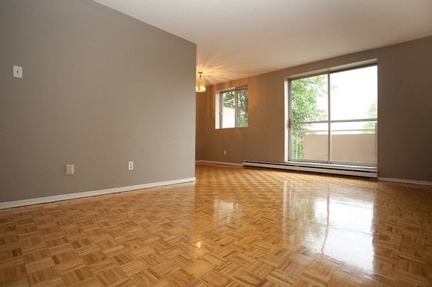 Minutes to Bayshore Shopping Centre; Easy Access to the Queensway - Photo 1