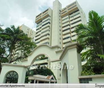 Equatorial Apartments (D15), Apartment - For Rent - Photo 5