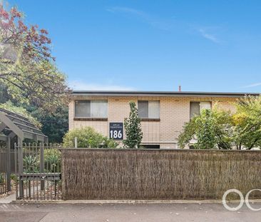 5/186 Jeffcott Street, North Adelaide, SA 5006 - Photo 1
