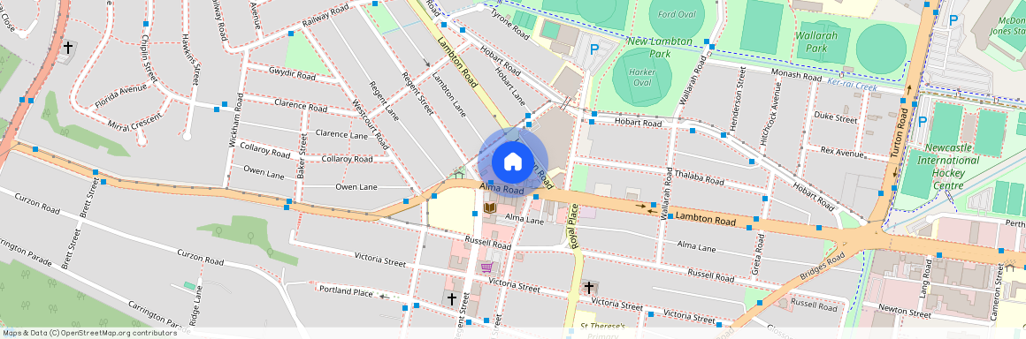 3 Lambton Lane, New Lambton, NSW 2305