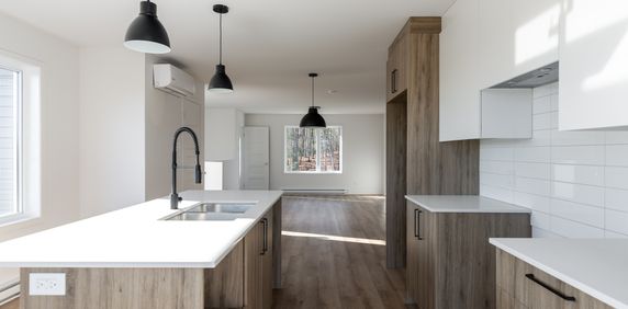 4 1/2 Brownsburg-Chatham - Photo 2