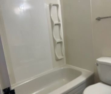 1 BDRM/1 BATH - 115 3RD AVE S - Available Now - Photo 6