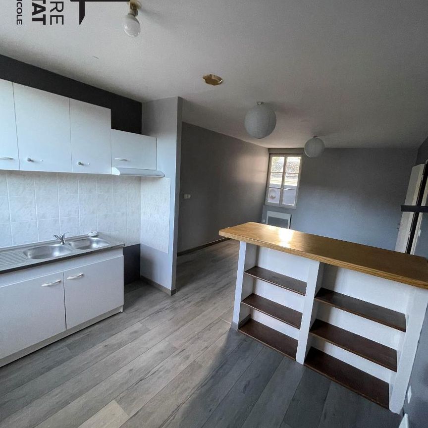 Location Appartement 3 pièces 75m² DESCARTES 37160 - Photo 1
