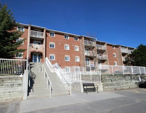 404-566 Armstrong Road - 1 Bedroom 1 Bathroom | 566 Armstrong Road, Kingston - Photo 1
