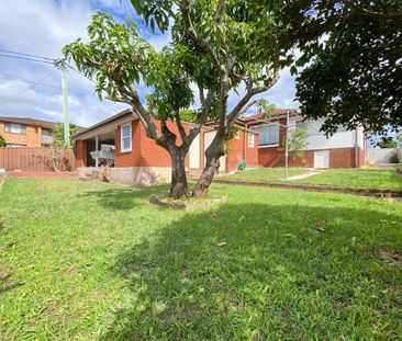 356 Kingsgrove Rd, Kingsgrove NSW 2208 - House For Rent | Domain - Photo 4