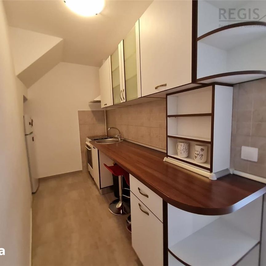 Garsoniera cocheta cu gradina in Centrul Istoric - Photo 1