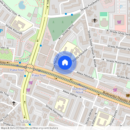 Nicolae Grigorescu, Bucuresti