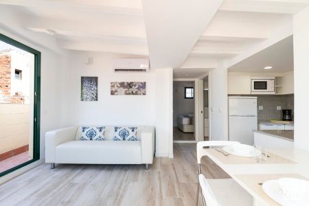 Penthouse with Private Terrace on Paseo del Born 24 - Photo 5