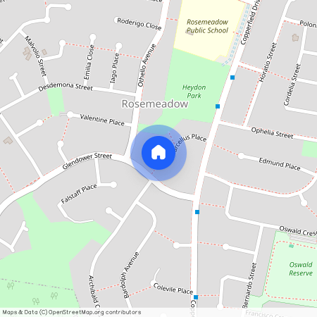 19 Marcellus Place, NSW 2560, Rosemeadow