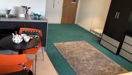 Deluxe Studio - Photo 5