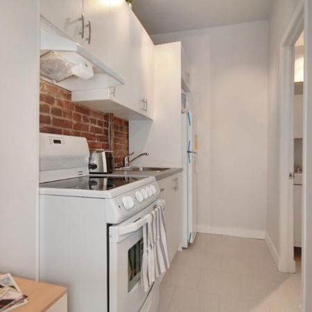 Loft entièrement meublé à louer Saint-Jean-Baptiste septembre 2026 - Photo 4