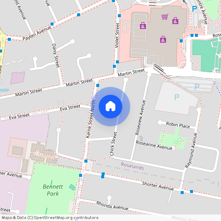 11 Chick Street, NSW 2196, Roselands