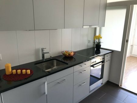 SPACIEUX LOGEMENT RENOVE RECEMMENT - Foto 3