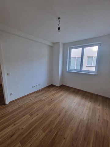 Lichtdurchflutet 2-Zimmerwohnung mit Balkon und Küche - Top 101 - Foto 2