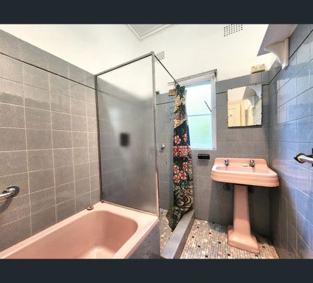 77 Palace Street, Ashfield, NSW 2131 - Photo 5