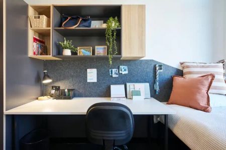 Lincoln Standard - Photo 5