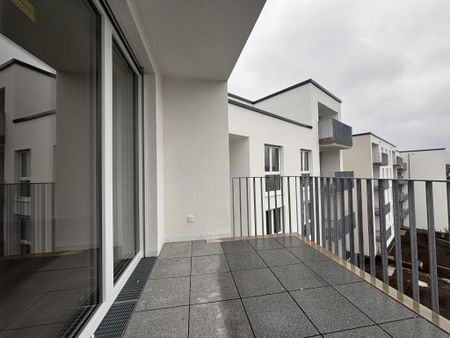 4-Zimmer Neubauwohnung in Altenbochum mit WBS - Photo 4