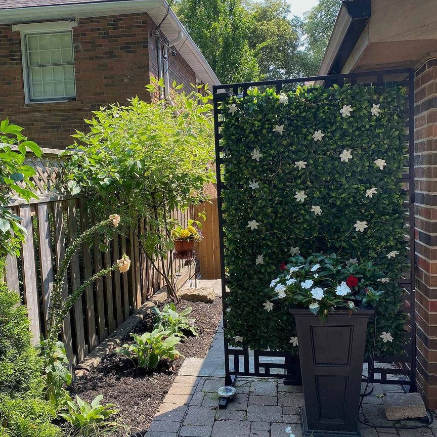 For Lease - 4B Mayfair Avenue Unit# Bsmt, Toronto, Ontario - Photo 1