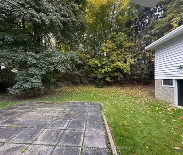 For Lease - 8186 Islington Avenue, Vaughan, Ontario - Photo 6