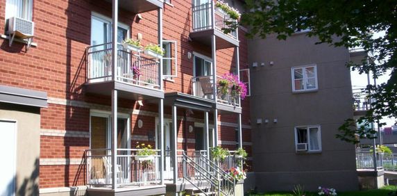 1½ à louer : Coop d'habitation l’Odyssée +50 ans et non fumeur - Photo 2