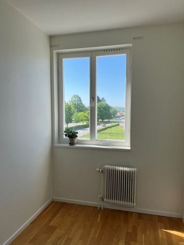 Västra Hagagatan, Hässleholm - Photo 4