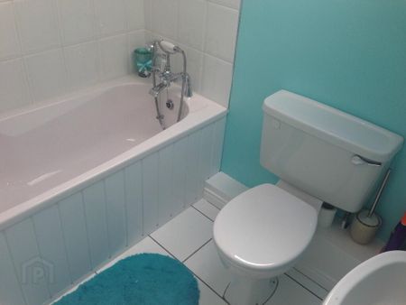 61 Minorca Drive, Carrickfergus, BT38 8WS - Photo 5