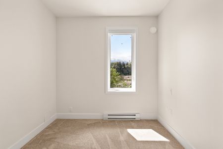 YEARLING - 213 - YE213 - Photo 3