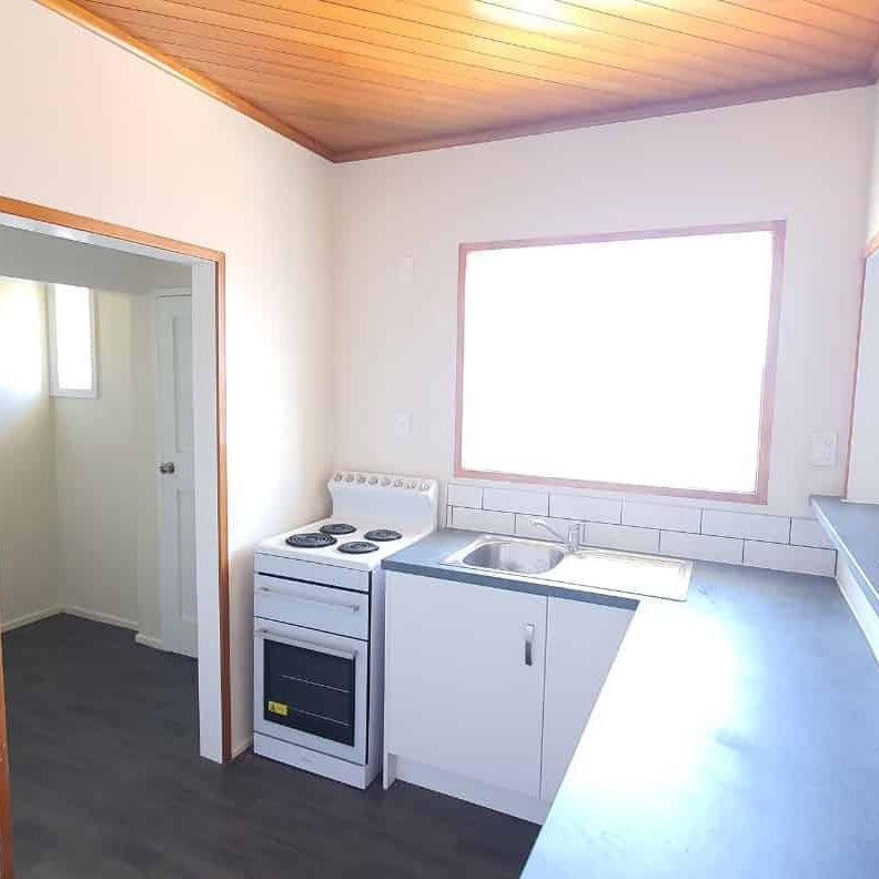 Large Section & Pet Friendly - Photo 1