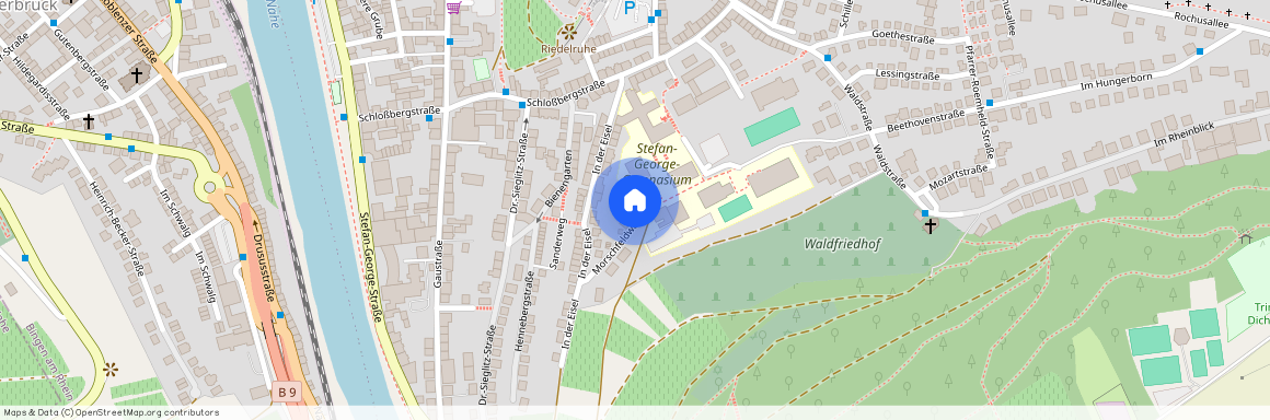 55411 Rheinland-Pfalz - Bingen