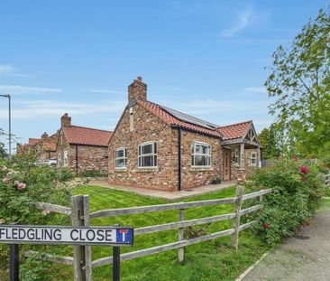 2 bedroom detached bungalow to rent - Photo 1