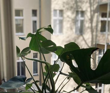 Suche: Kleine Wohnung (Pendlerin) - Photo 1