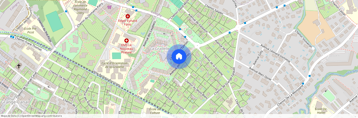 Avenue des Amazones 8, 1224 Chêne-Bougeries