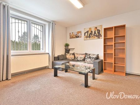 Pronájem bytu 6 a více 320 m2 - Fotografie 5