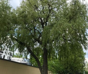 Helle 3-Zimmer Wohnung im 6. OG mit Balkon Nürnberg-Schoppershof - Photo 4