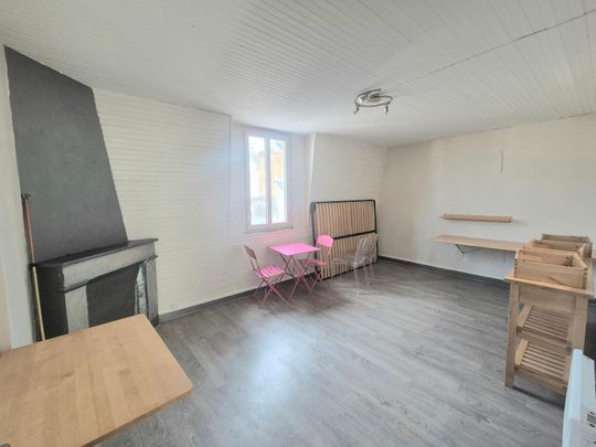 Location Appartement 1 pièce 42m² ANGERS 49100 - Photo 1