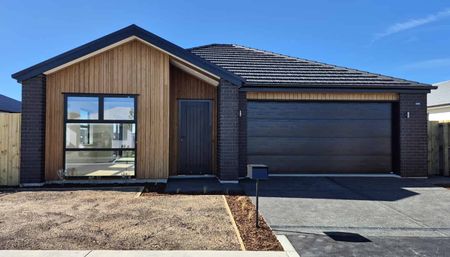 19 Larch Drive, Arbor Green, Rolleston - Photo 4