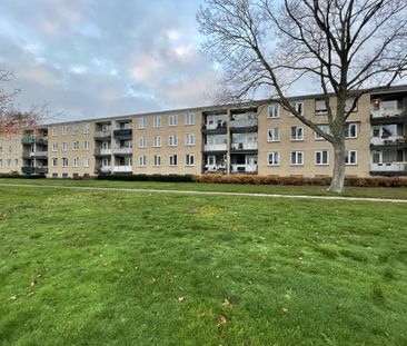 Te huur: Appartement Maaslandlaan 138 in Weert - Photo 2