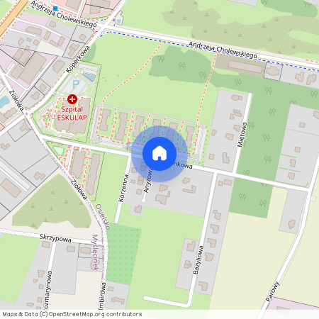 ul. Tymiankowa, Osielsko, Osielsko, bydgoski, kujawsko-pomorskie