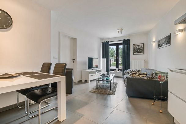 1 slaapkamer appartement met terras te huur in Berlare - Foto 1