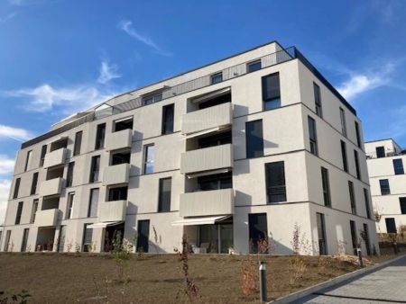 Magnifique appartement de 4.5 pièces au 4ème étage - Photo 3