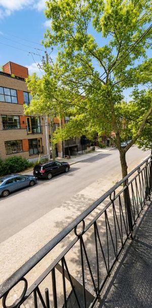 1 CH - 1 SDB - Montréal - $1,299 /mo - Photo 1