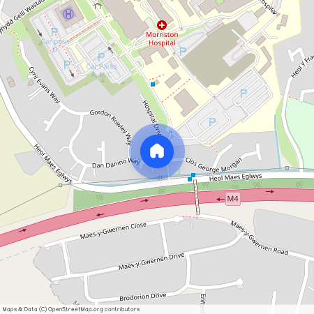 21 Dan Danino Way Morriston Swansea