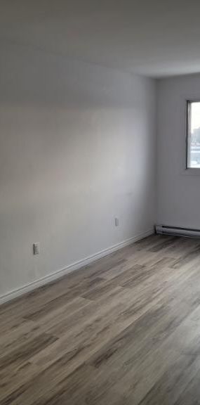 5 1/2 - Montréal - 1 575 $/mois - Photo 1