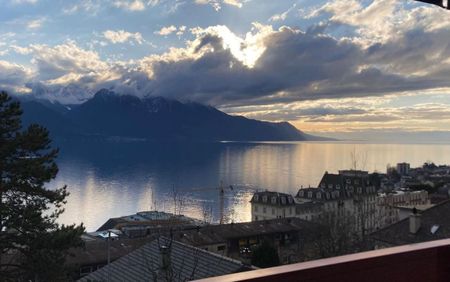 Prächtige 2.5-Zimmer-Wohnung in Montreux - Photo 5