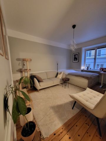 Birger Jarlsgatan, Stockholm - Photo 3