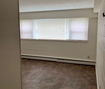 1 BDRM/1 BATH - 1909 7TH ST E - Available FEB 1 - Photo 1