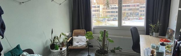 5-2 Unlimited - Photo 1