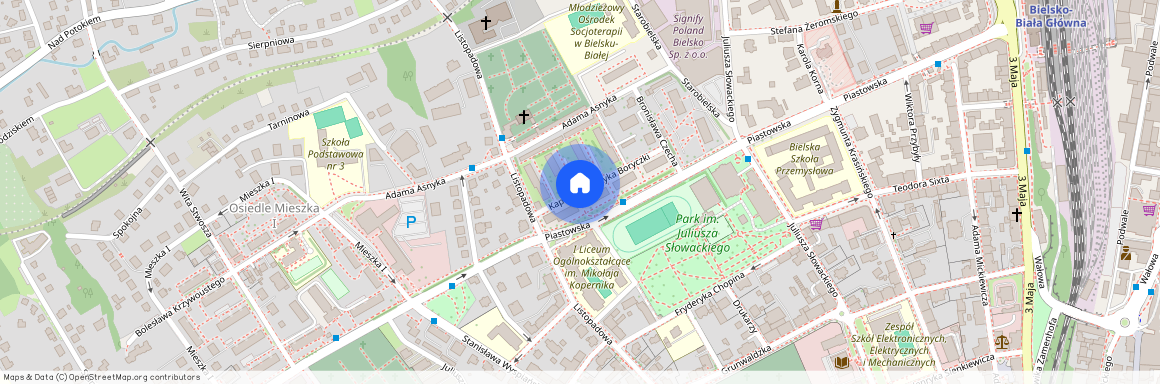 ul. kpt. Henryka Boryczki, Dolne Przedmieście, Bielsko-Biała, śląskie